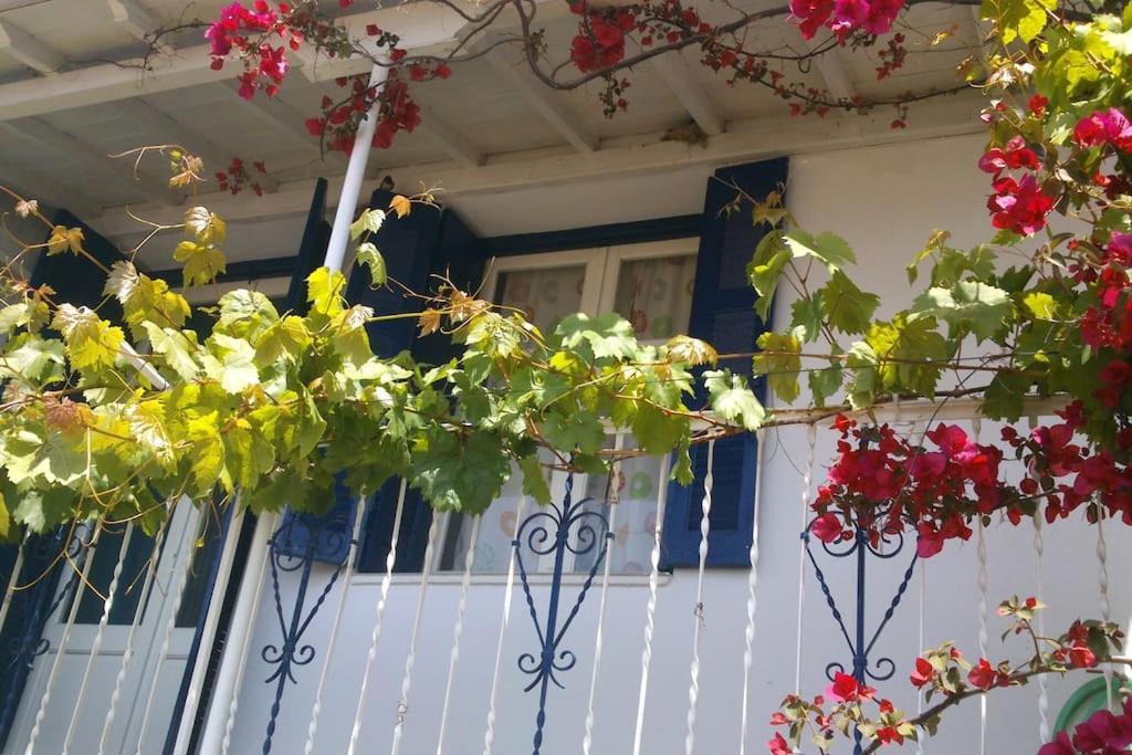 Viewtyhouse Villa Atheato Bagian luar foto